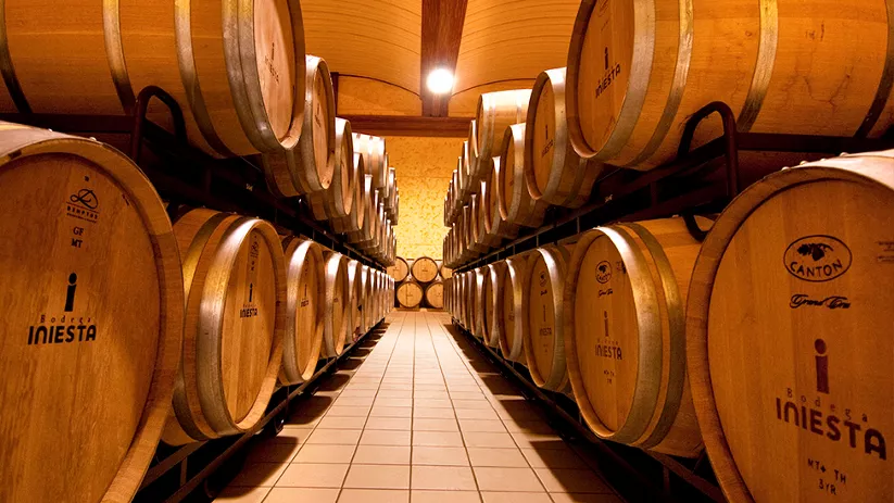 Imagen bodegas fuentealbilla