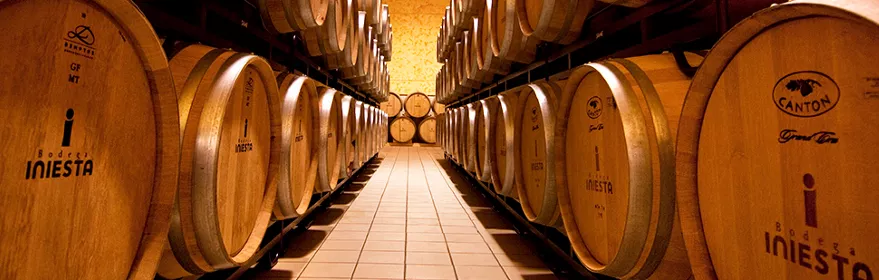 Imagen bodegas fuentealbilla