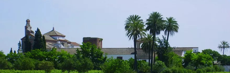 bodegas-loreto.jpg