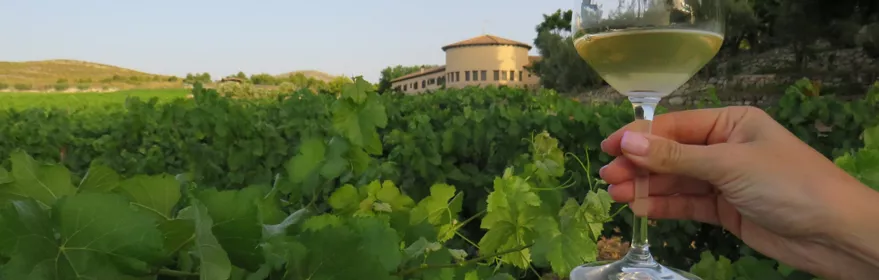bodegas-mainetes6.jpg