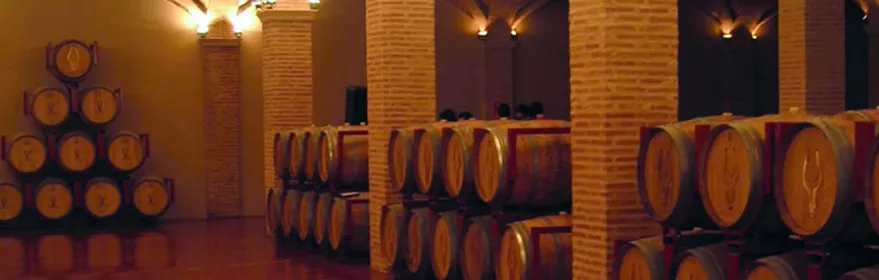 bodegas-martinez-saez-villarrobledo.jpg