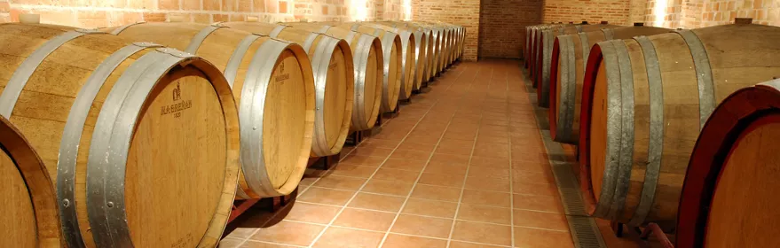 bodegas-simbolo---sc-ntra-sra-de-criptana.jpg