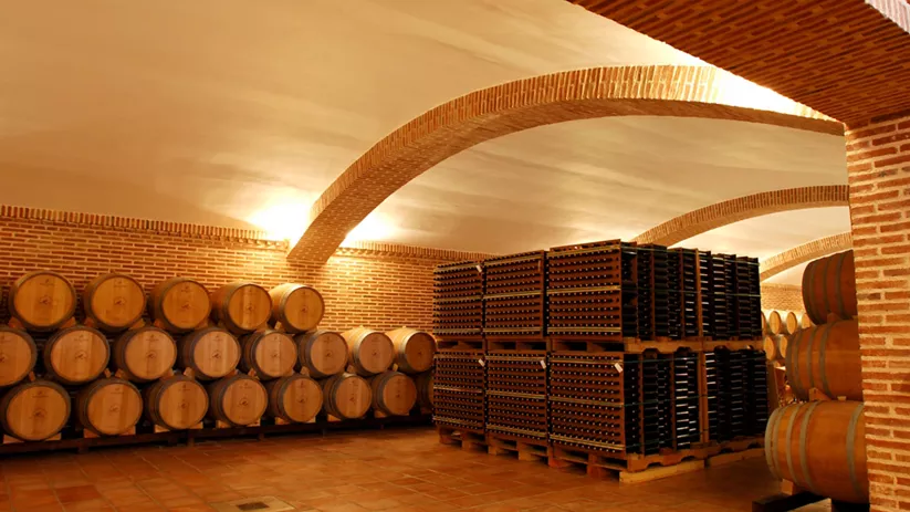 bodegas-y-vinedos-castiblanque1.jpg