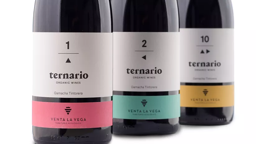 bodegas-y-vinedos-venta-la-vega-sl---ternario-1-2-10--.jpg