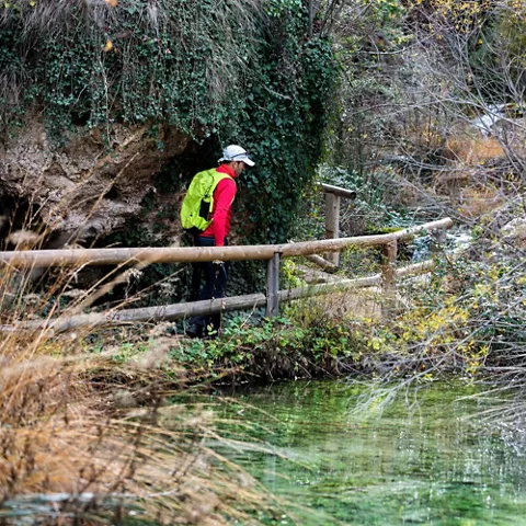 Naturaleza de Castilla-La Mancha