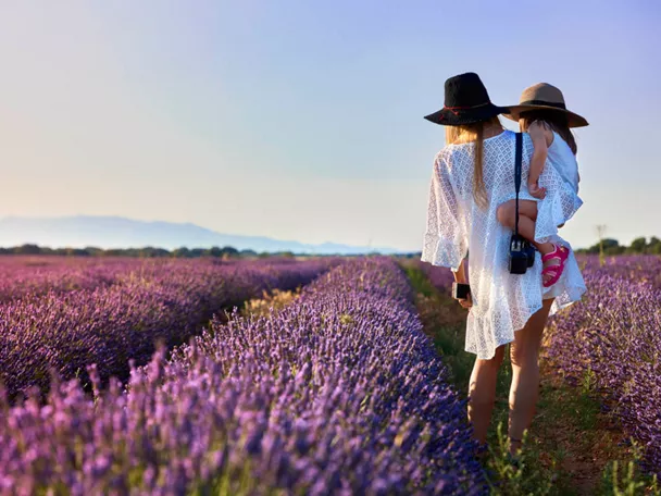 Paseando entre en los campos de lavanda de Brihuega