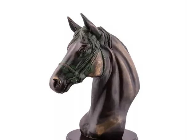 Imagen de cabeza de caballo de bronce
