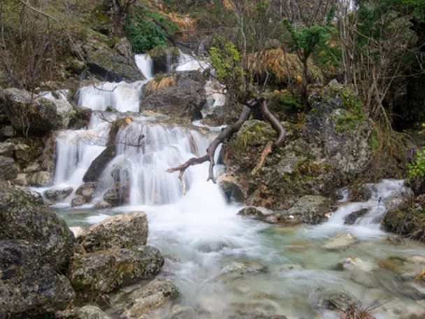 Imagen del río mundo