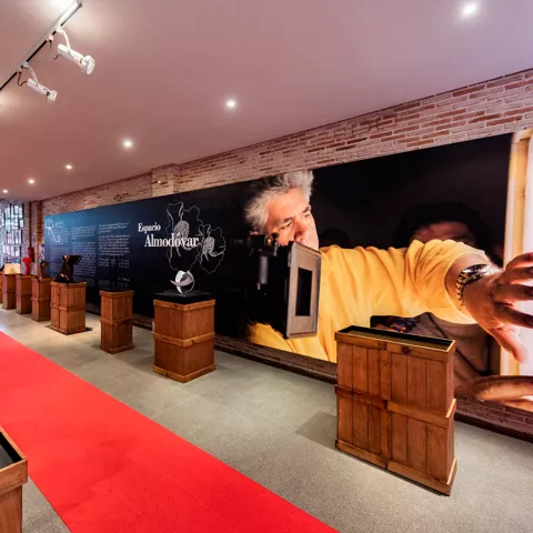 Espacio Almodóvar, Calzada de Calatrava