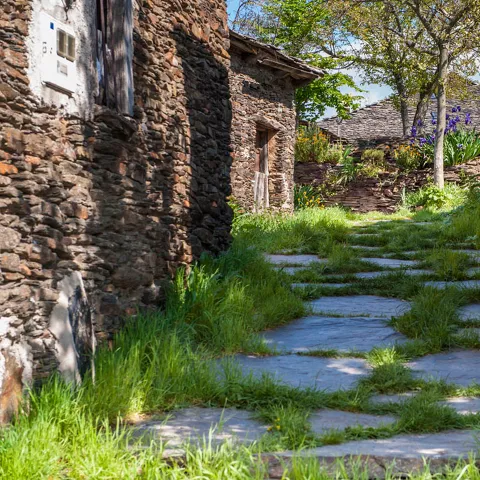 Calle de Campillo de Ranas en primavera