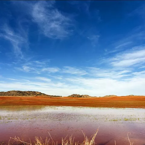 Imagen del campo de Montiel