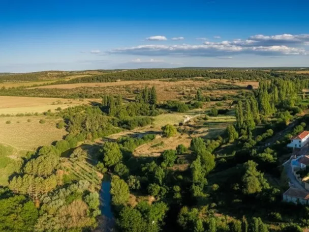 Vista aérea de pueblo rodeado de árboles, campos y río