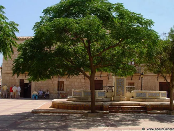 Imagen de árbol delante de Iglesia de Casas de Ves