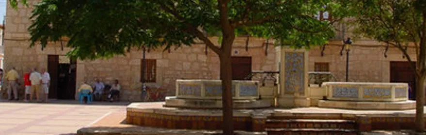 Imagen de árbol delante de Iglesia de Casas de Ves