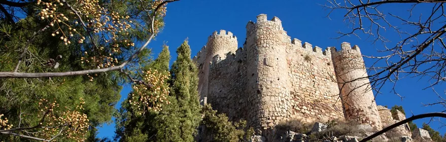Fortaleza medieval rodeada de árboles bajo cielo azul