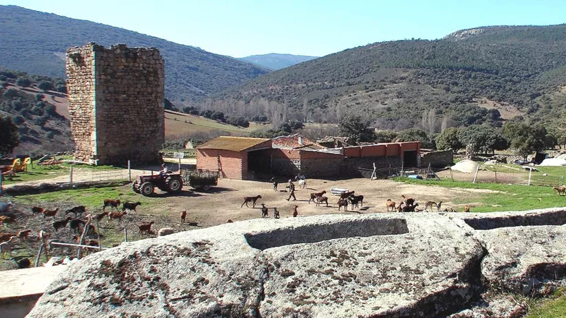 Torre defensiva y construcciones agrícolas en valle montañoso con ganado.