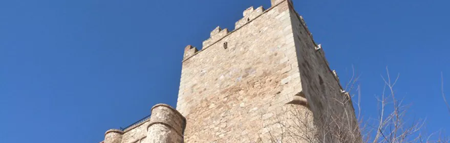 Imagen del castillo de Manzaneque