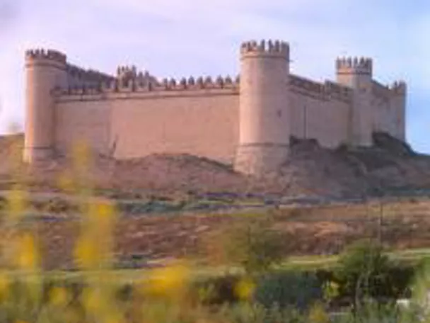 Imagen del castillo de Maqueda de lejos con unas flores rojas