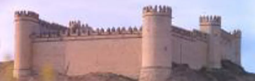 Imagen del castillo de Maqueda de lejos con unas flores rojas