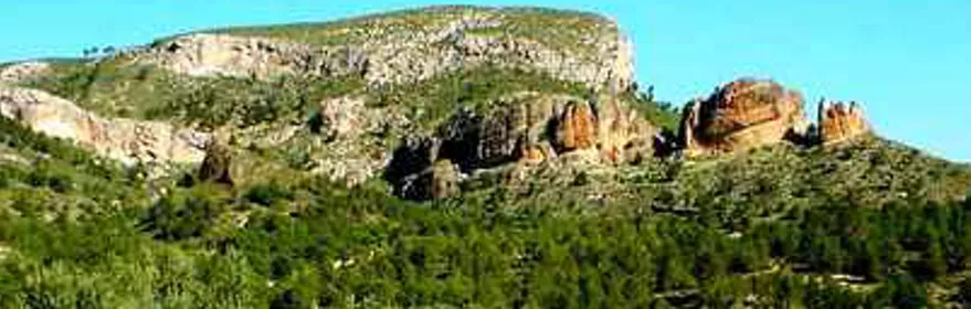 Imagen de campo con flores de la microrreserva