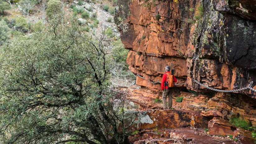Naturaleza de Castilla-La Mancha