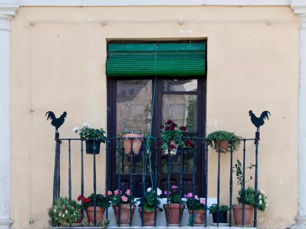 Fachada de la Casa de los Gallos, Cifuentes
