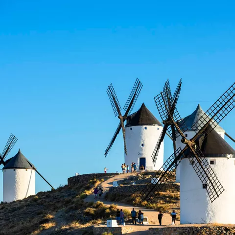 Vista de varios molinos de Consuegra