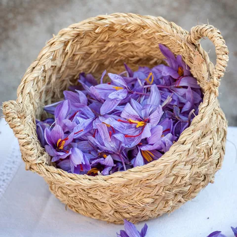 Azafrán de Consuegra