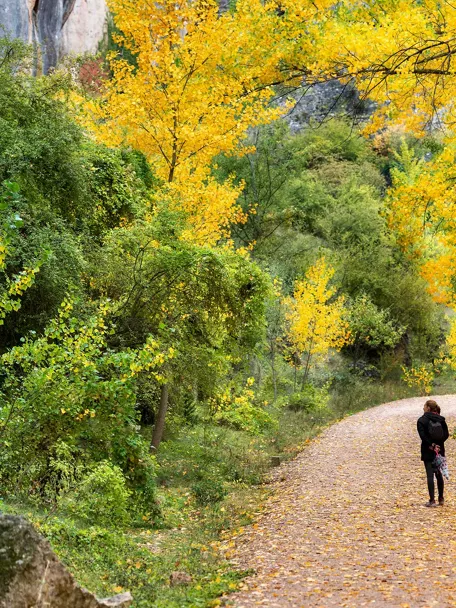 Actividades en Castilla-La Mancha