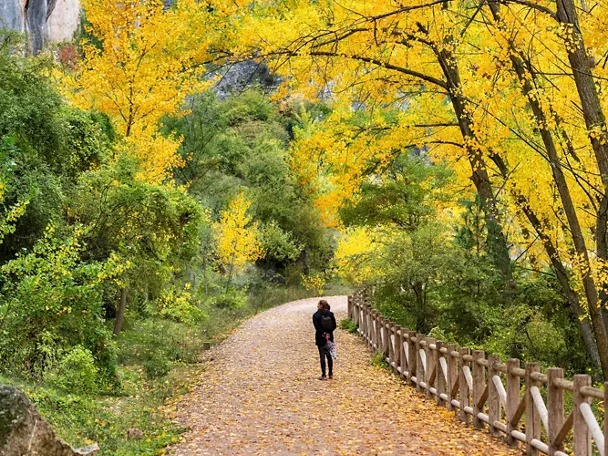 Actividades en Castilla-La Mancha