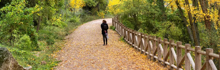 Actividades en Castilla-La Mancha
