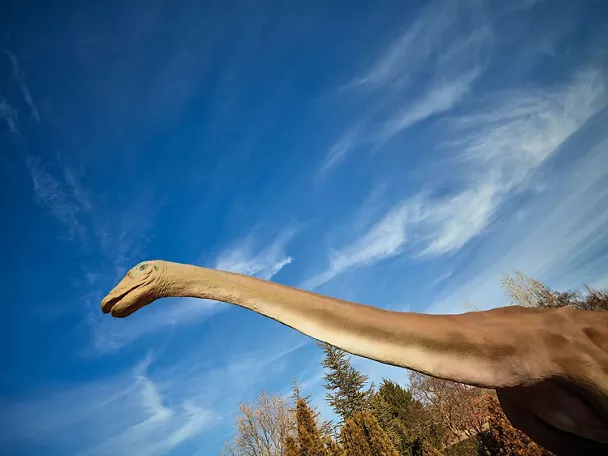 Dinosaurio en el Museo Paleontológico de Cuenca