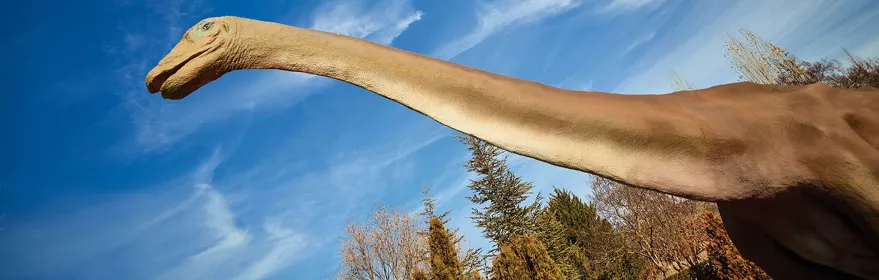 Dinosaurio en el Museo Paleontológico de Cuenca