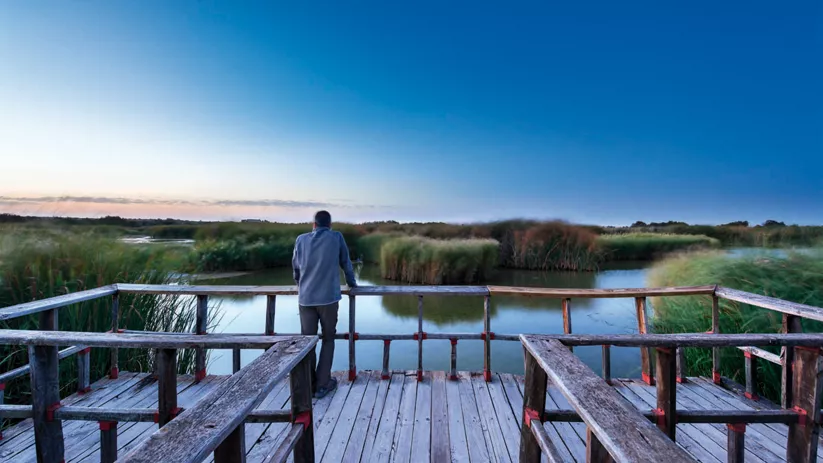 Parque Nacional de las Tablas de Daimiel