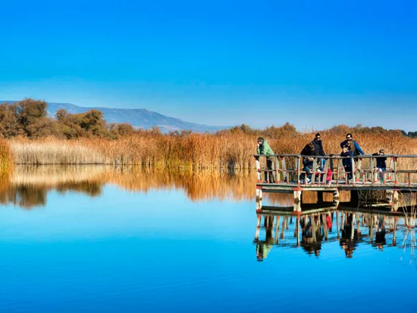 Visitantes en el Parque Nacional de las Tablas de Daimiel