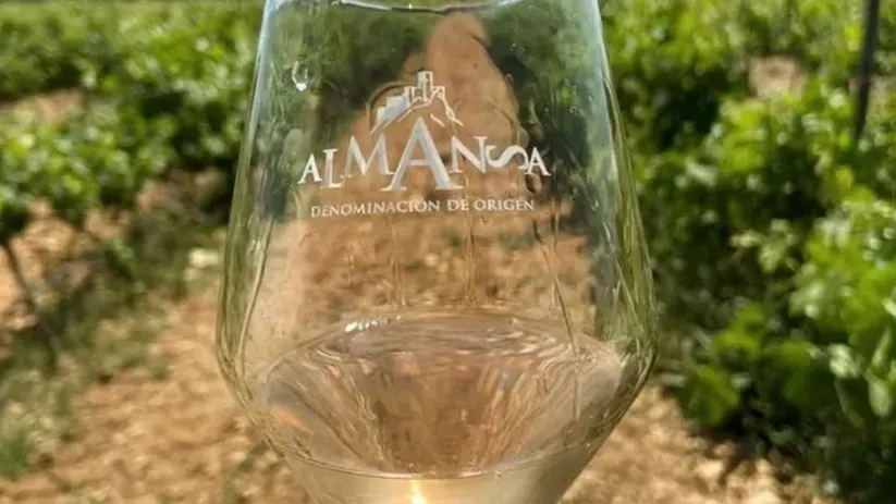 Copa de vino transparente colocada entre hileras de viñedo.