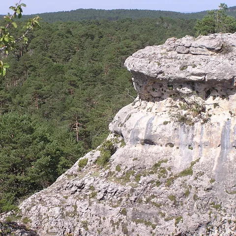 El tormagal de la Muela Pinilla y del Puntal en Masegosa
