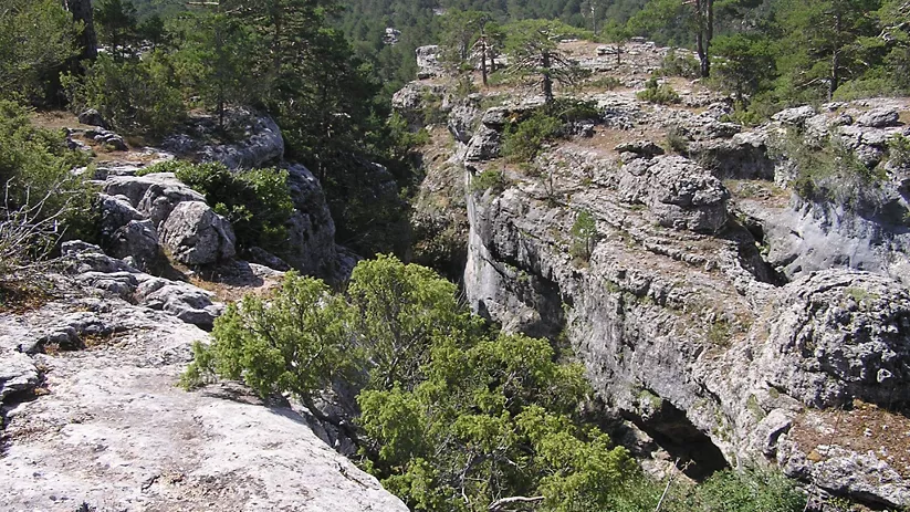 Tormagal de la Muela Pinilla y del Puntal