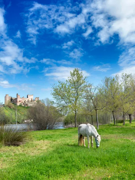 Ribera del río Alberche en Escalona