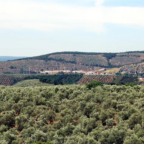 Imagen de lejos de Fuencaliente y del valle de Alcudia