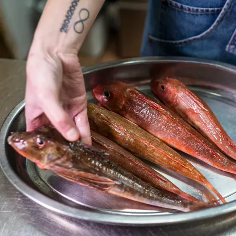Producto fresco en el restaurante Fuentelgato