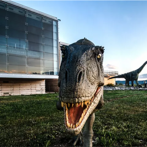 Imagen Tiranosaurus Rex