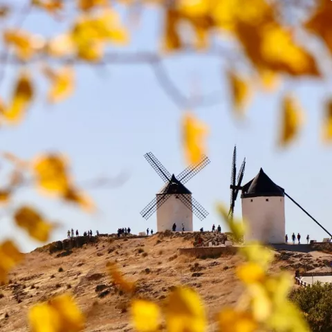 Imagen de molinos