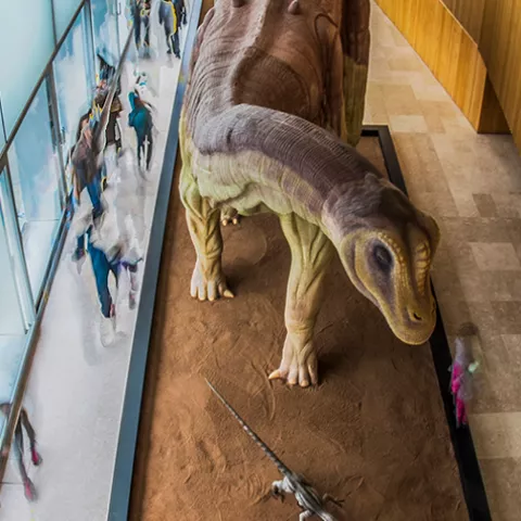 Imagen cría de dinosaurio