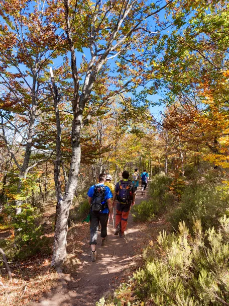 Naturaleza de Castilla-La Mancha