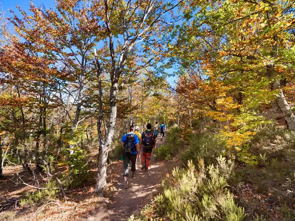 Naturaleza de Castilla-La Mancha