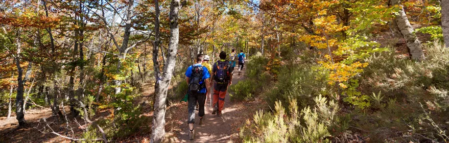 Naturaleza de Castilla-La Mancha