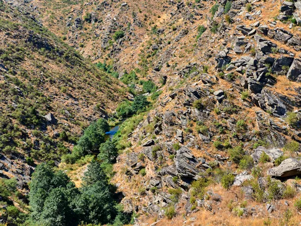 Río Bornova en los alrededores de Hiendelaencina