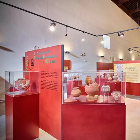Museo Arqueológico de Iniesta