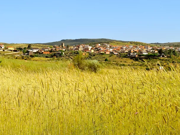 Panorámica de pueblo entre campos dorados y colinas